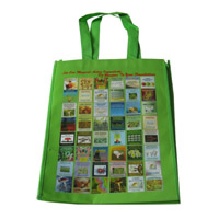 宁德LB11覆膜无纺布广告袋