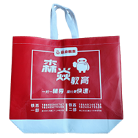 宁德LB37培训班广告袋